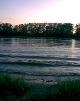 ������ ����