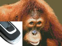 �������� ���������