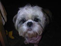 ����� �������� �������� Samsung SGH-D900