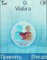 ����� �������� �������� Samsung SGH-X300