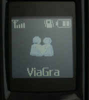 ����� �������� �������� Samsung SGH-X300