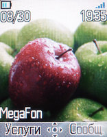 ����� �������� �������� Alcatel OT-S853