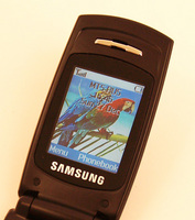 ����� �������� �������� Samsung SGH-X200