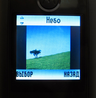 ����� �������� �������� Motorola W205