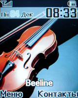 ����� �������� �������� Samsung SGH-E570