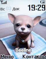 ����� �������� �������� Samsung SGH-E570