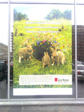 ����� GSM-�������� Nokia 5220 XpressMusic