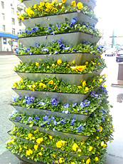 ����� GSM-�������� Nokia 5220 XpressMusic