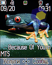 �������� Alcatel OT-S583