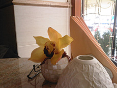 ����� GSM/UMTS-�������� Samsung F400