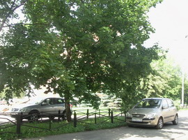 ������ ���������� 2