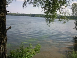 ������ ���������� 4