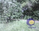 ���������� � ������ Alcatel OT-V770