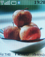 ����� �������� �������� Nokia 6111