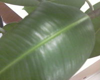 ����� �������� �������� Samsung SGH-E760