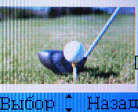 ����� �������� �������� Alcatel OT-E256