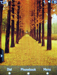 ����� ���������� �������� Samsung F480