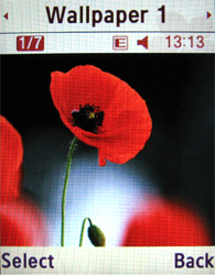 ����� ���������� �������� Samsung D780 DuoS