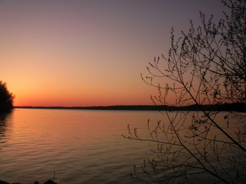 ����� ���������� �������� Samsung G810