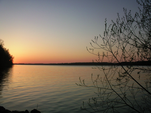 ����� ���������� �������� Samsung G810