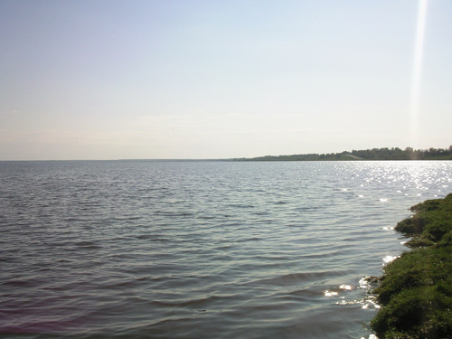 ����� ���������� �������� Samsung G810