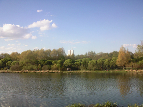 ����� ���������� �������� Samsung G810