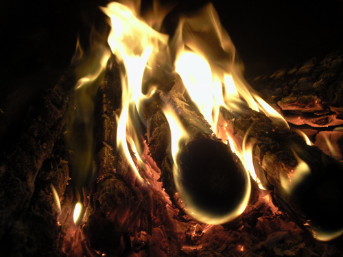 ����� ���������� �������� Samsung G810