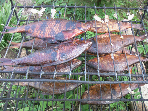 ����� ���������� �������� Samsung G810