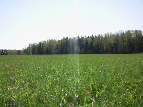 ����� ���������� �������� Samsung G810