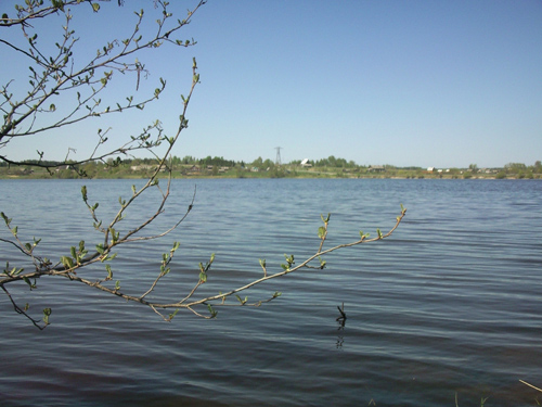 ����� ���������� �������� Samsung G810