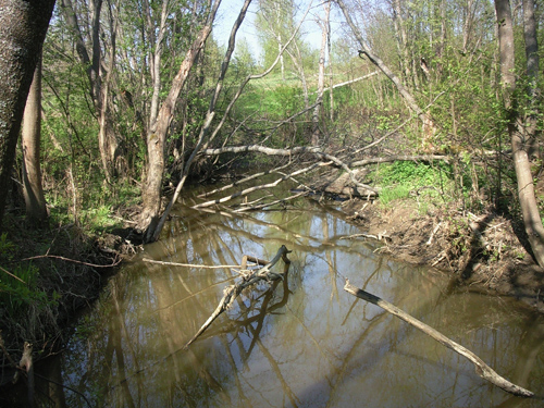 ����� ���������� �������� Samsung G810