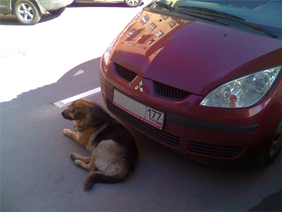 ��������������� ����� ���������� �������� Motorola ROKR E8