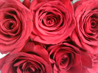 ����� ���������� �������� Samsung U800 Soul