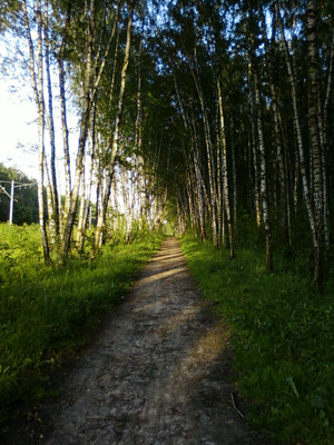 ����� ���������� �������� Samsung L700