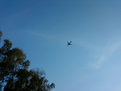 ����� ���������� �������� Samsung L700