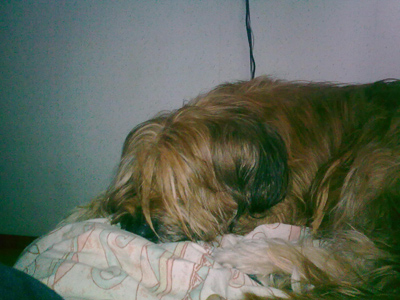 ����� ���������� �������� Nokia 6210 Navigator