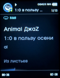  Samsung YP-Q1