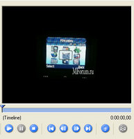    Samsung SGH-P300:    / 