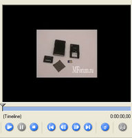    Samsung SGH-P300:    / 