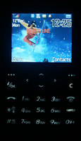    Samsung SGH-P300:    / 