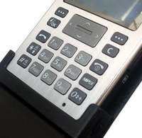    Samsung SGH-P300:    / 
