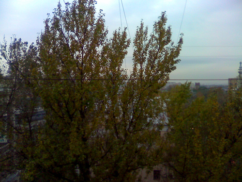 ����� ���������� �������� Motorola ROKR EM30