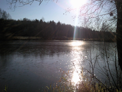 ����� �������� �������� Samsung i7110