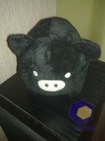 ���������� � ������ Nokia N79