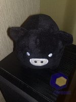 ���������� � ������ Nokia N79