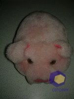 ���������� � ������ Nokia N79