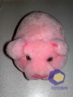 ���������� � ������ Nokia N79