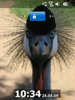 ������ ���� ������� Windows Mobile 6.5: RoverPC Pro G7