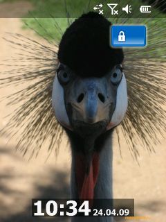 ������ ���� ������� Windows Mobile 6.5: RoverPC Pro G7