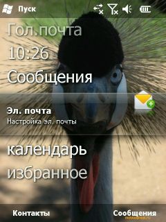 ������ ���� ������� Windows Mobile 6.5: RoverPC Pro G7